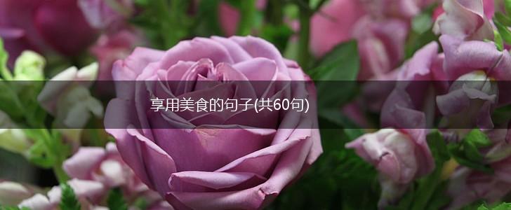 享用美食的句子(共60句),第1张
