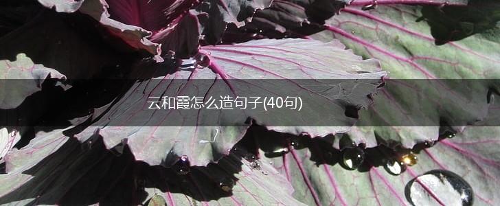 云和霞怎么造句子(40句),第1张
