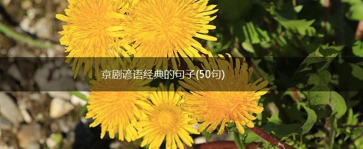 京剧谚语经典的句子(50句),第1张