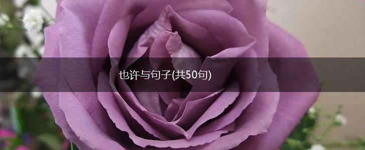 也许与句子(共50句),第1张