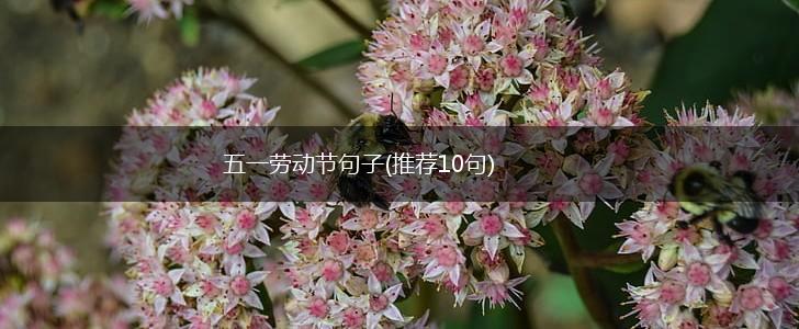 五一劳动节句子(推荐10句),第1张
