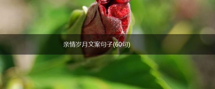 亲情岁月文案句子(60句),第1张