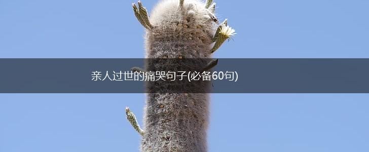 亲人过世的痛哭句子(必备60句),第1张