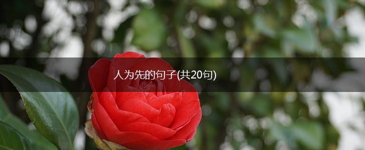 人为先的句子(共20句),第1张