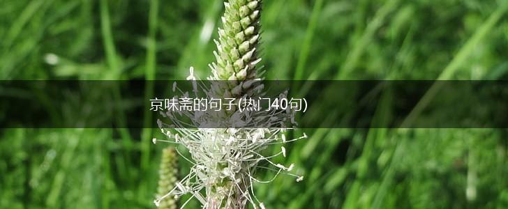 京味斋的句子(热门40句),第1张