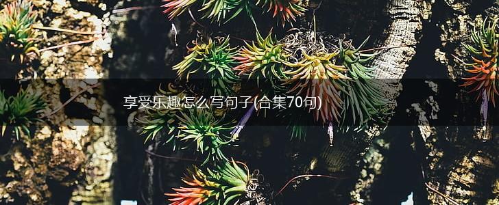 享受乐趣怎么写句子(合集70句),第1张