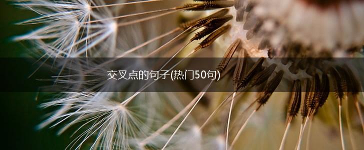 交叉点的句子(热门50句),第1张