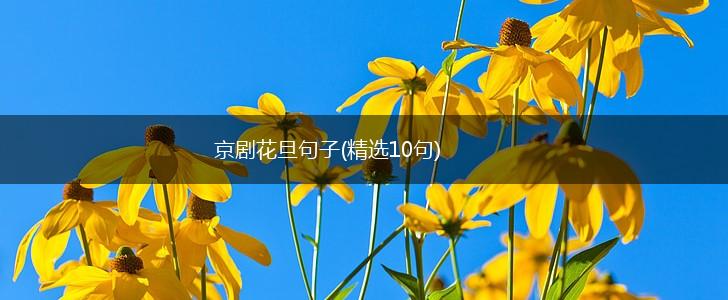 京剧花旦句子(精选10句),第1张