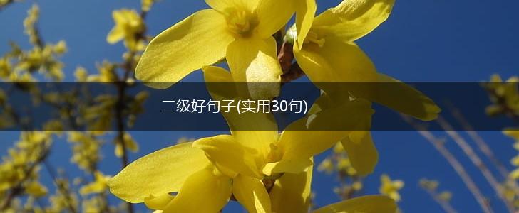 二级好句子(实用30句),第1张
