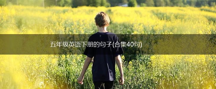 五年级英语下册的句子(合集40句),第1张