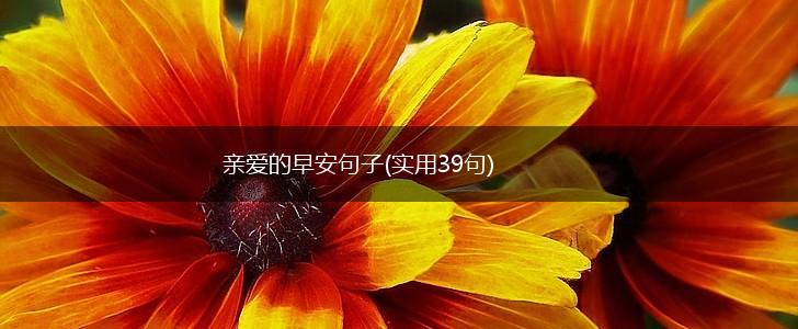 亲爱的早安句子(实用39句),第1张