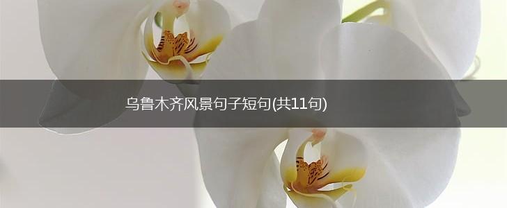 乌鲁木齐风景句子短句(共11句),第1张