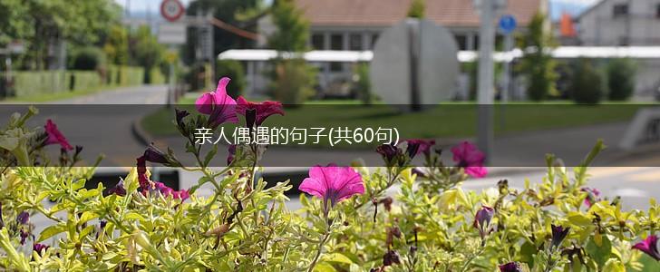 亲人偶遇的句子(共60句),第1张