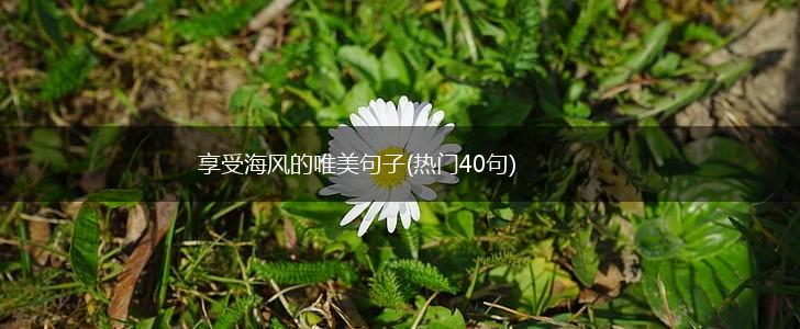 享受海风的唯美句子(热门40句),第1张
