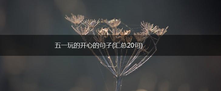五一玩的开心的句子(汇总20句),第1张