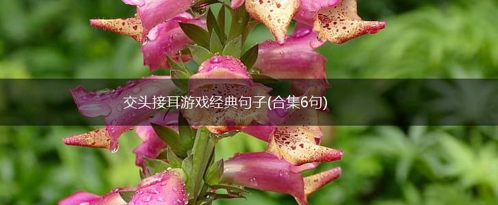 交头接耳游戏经典句子(合集6句),第1张