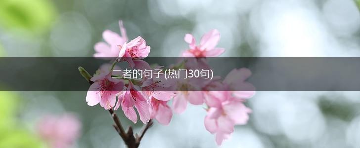 二者的句子(热门30句),第1张