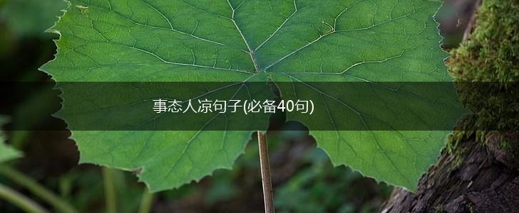 事态人凉句子(必备40句),第1张 事态人凉句子(必备40句),第1张
