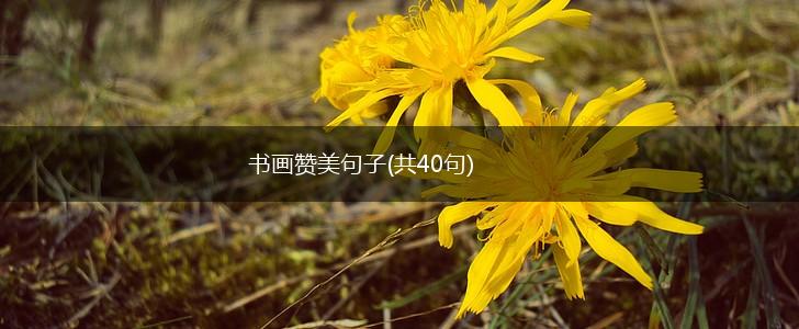 书画赞美句子(共40句),第1张