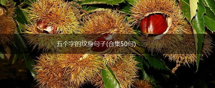 五个字的纹身句子(合集50句),第1张