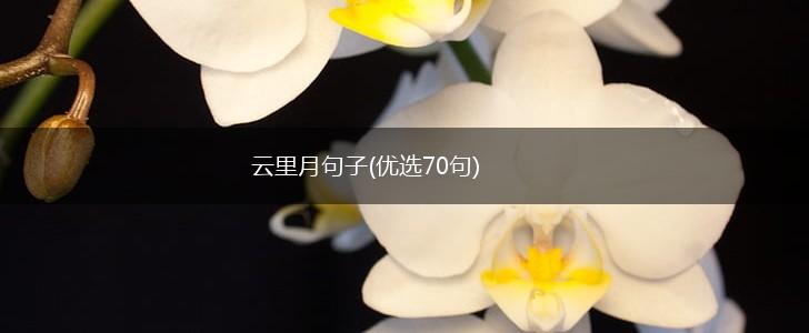 云里月句子(优选70句),第1张