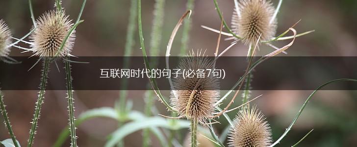 互联网时代的句子(必备7句),第1张