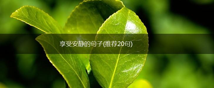 享受安静的句子(推荐20句),第1张