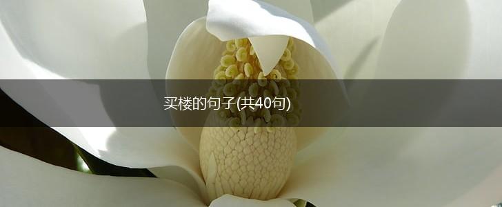买楼的句子(共40句),第1张
