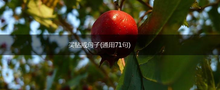 买钻戒句子(通用71句),第1张