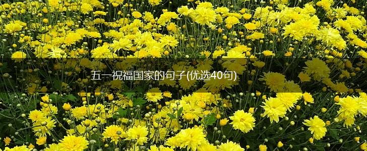 五一祝福国家的句子(优选40句),第1张