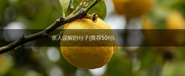 亲人误解的句子(推荐50句),第1张