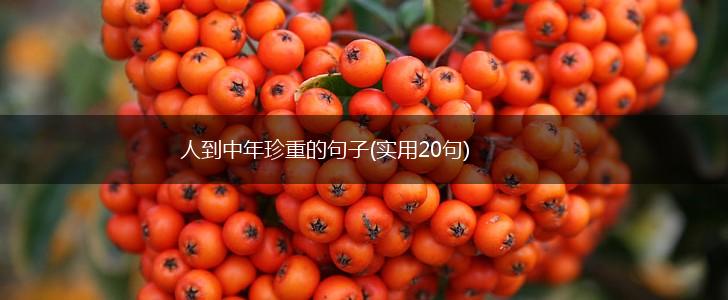 人到中年珍重的句子(实用20句),第1张