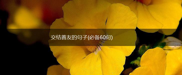交结善友的句子(必备60句),第1张