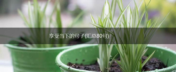 享受当下的句子(汇总80句),第1张