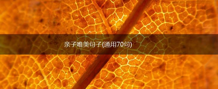 亲子唯美句子(通用70句),第1张