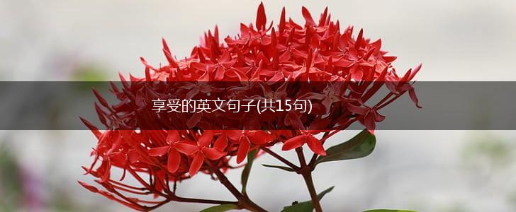 享受的英文句子(共15句),第1张