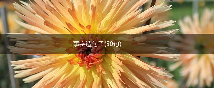事字造句子(50句),第1张