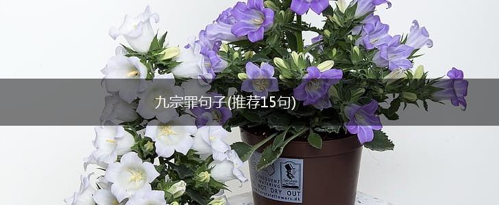 九宗罪句子(推荐15句),第1张