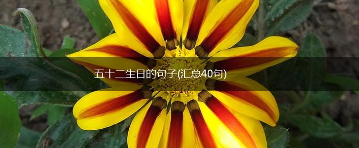 五十二生日的句子(汇总40句),第1张