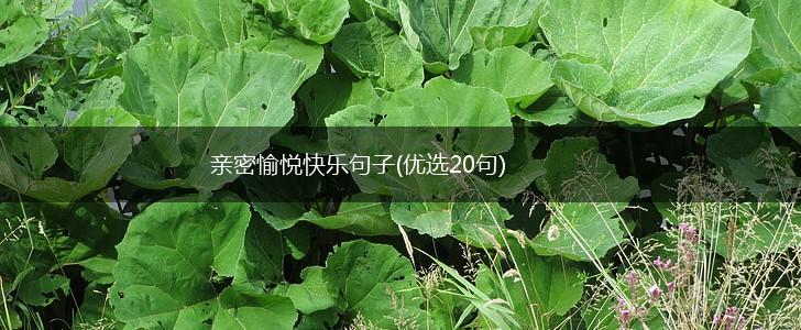 亲密愉悦快乐句子(优选20句),第1张