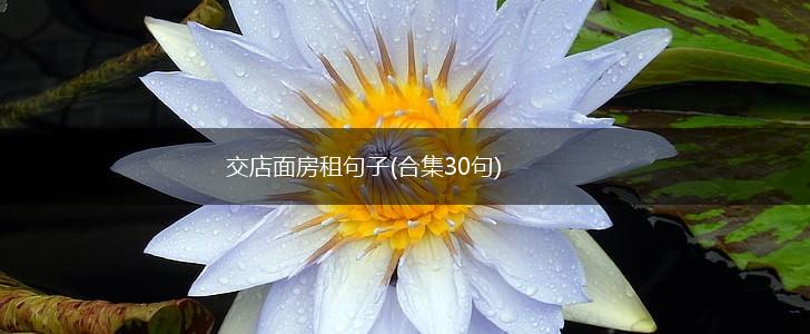 交店面房租句子(合集30句),第1张