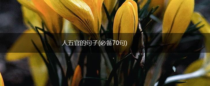 人五官的句子(必备70句),第1张