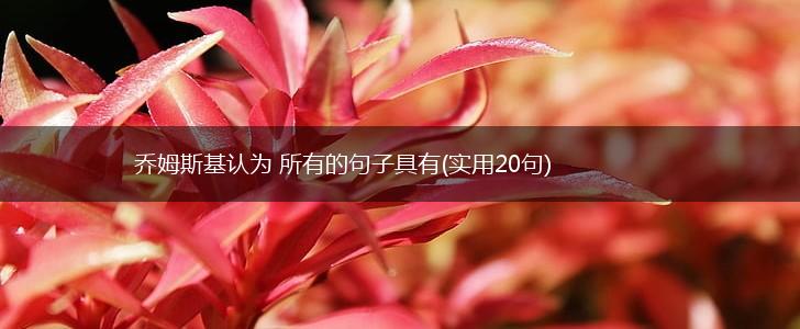 乔姆斯基认为 所有的句子具有(实用20句),第1张