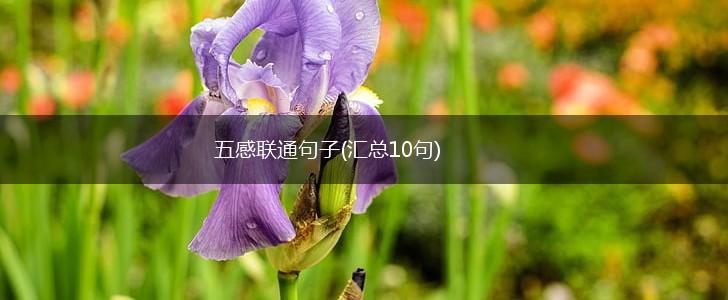 五感联通句子(汇总10句),第1张