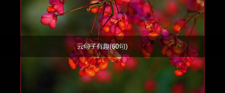 云句子有趣(60句),第1张