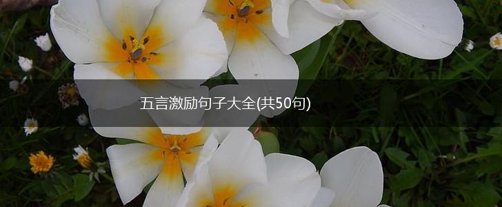 五言激励句子大全(共50句),第1张