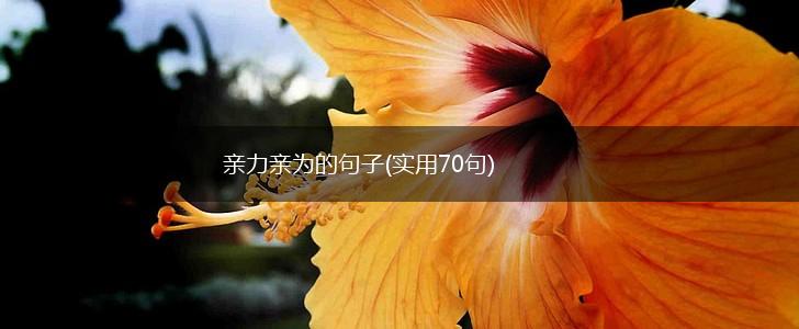 亲力亲为的句子(实用70句),第1张