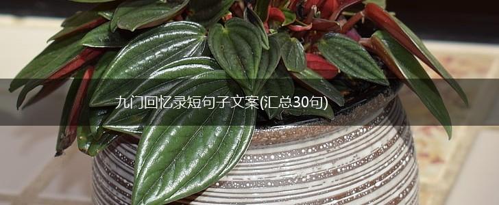 九门回忆录短句子文案(汇总30句),第1张