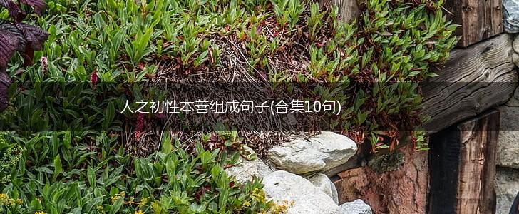 人之初性本善组成句子(合集10句),第1张