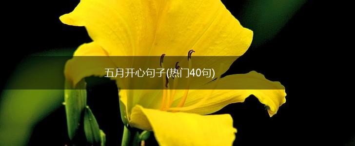 五月开心句子(热门40句),第1张